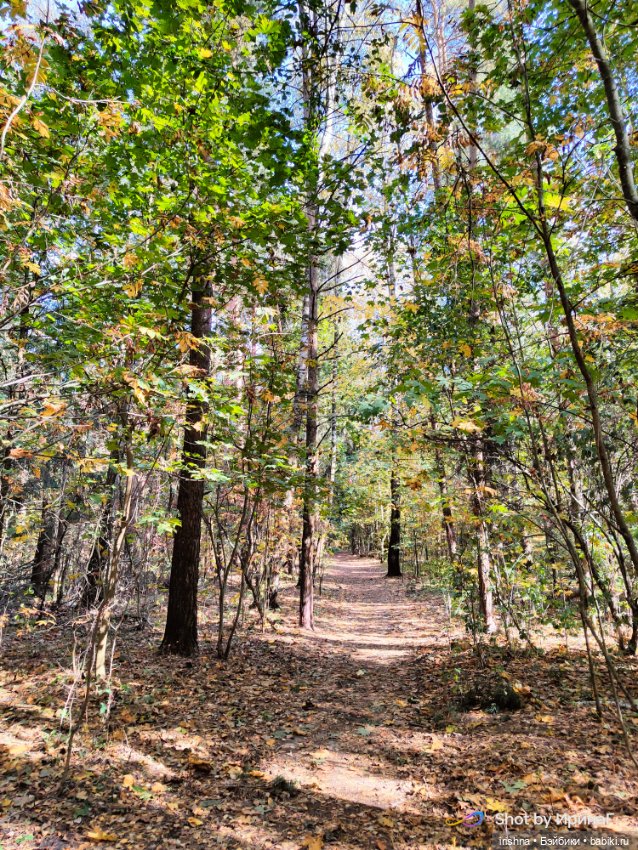 Осенние парни — Куклы Integrity Toys (Интегрити): Poppy Parker