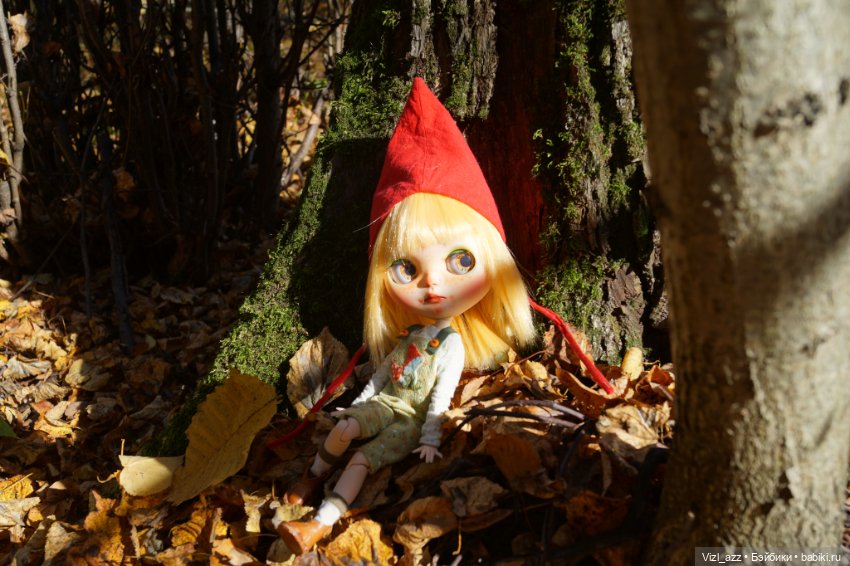 Киноко - девочка грибной поры (фото 3)