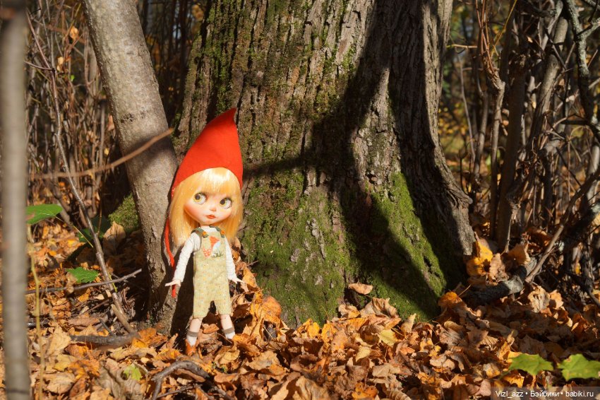 Киноко - девочка грибной поры (фото 4)