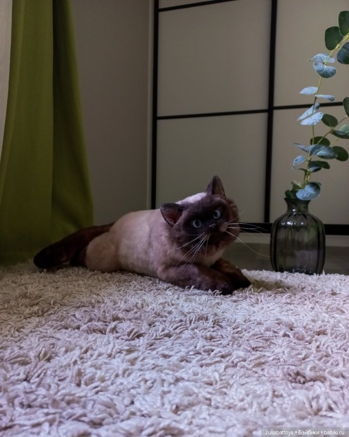 Мягкая игрушка - британец Джек (фото 3)