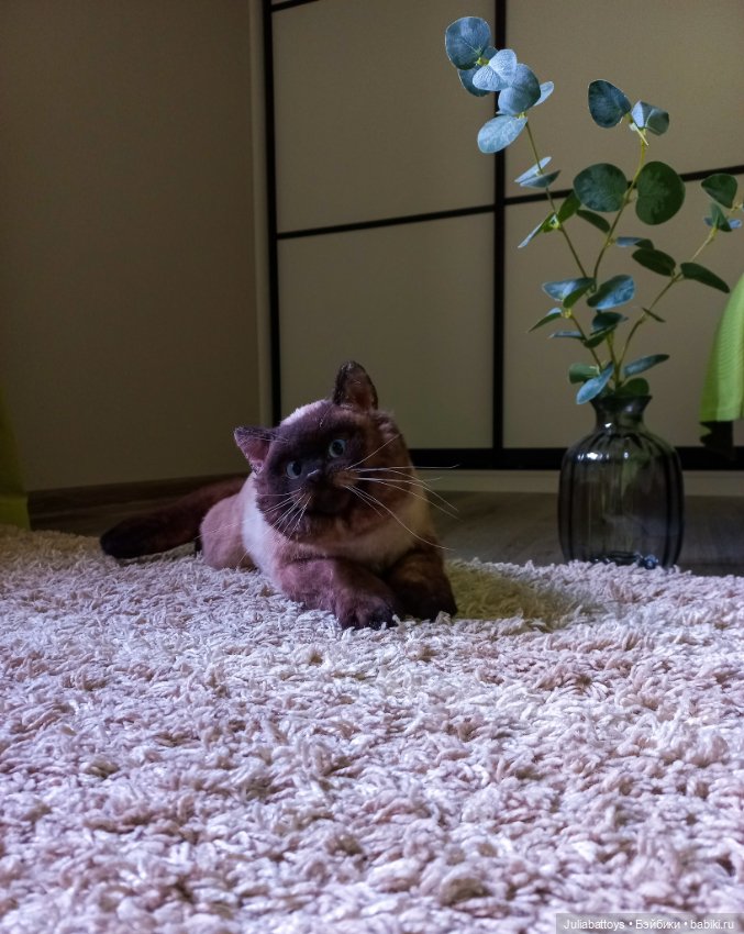 Мягкая игрушка - британец Джек (фото 4)