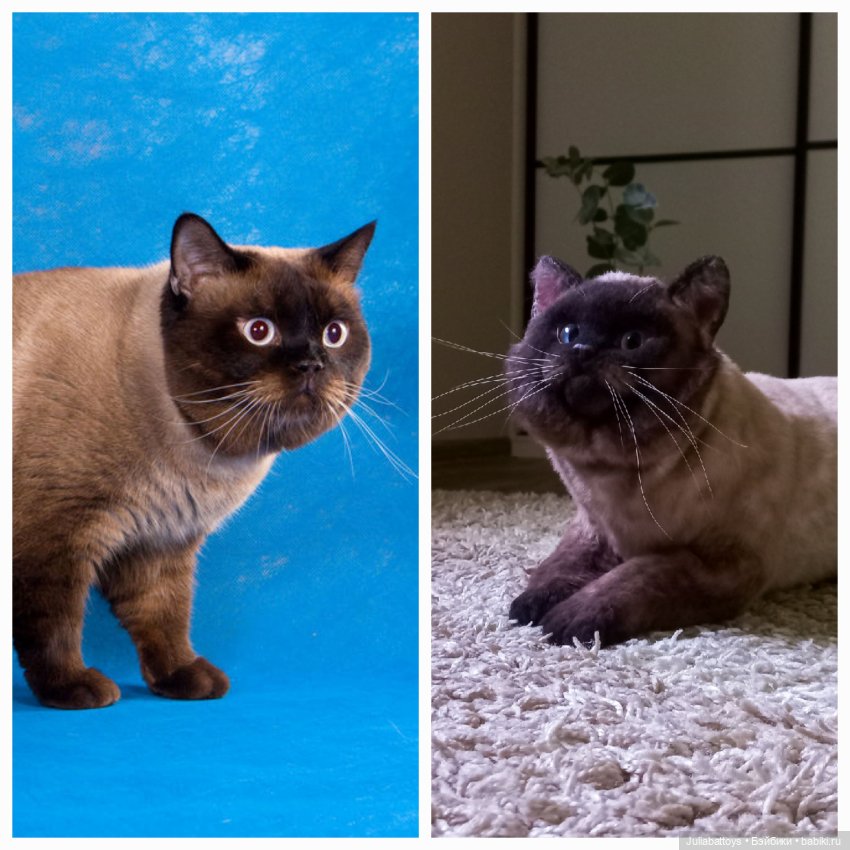 Мягкая игрушка - британец Джек