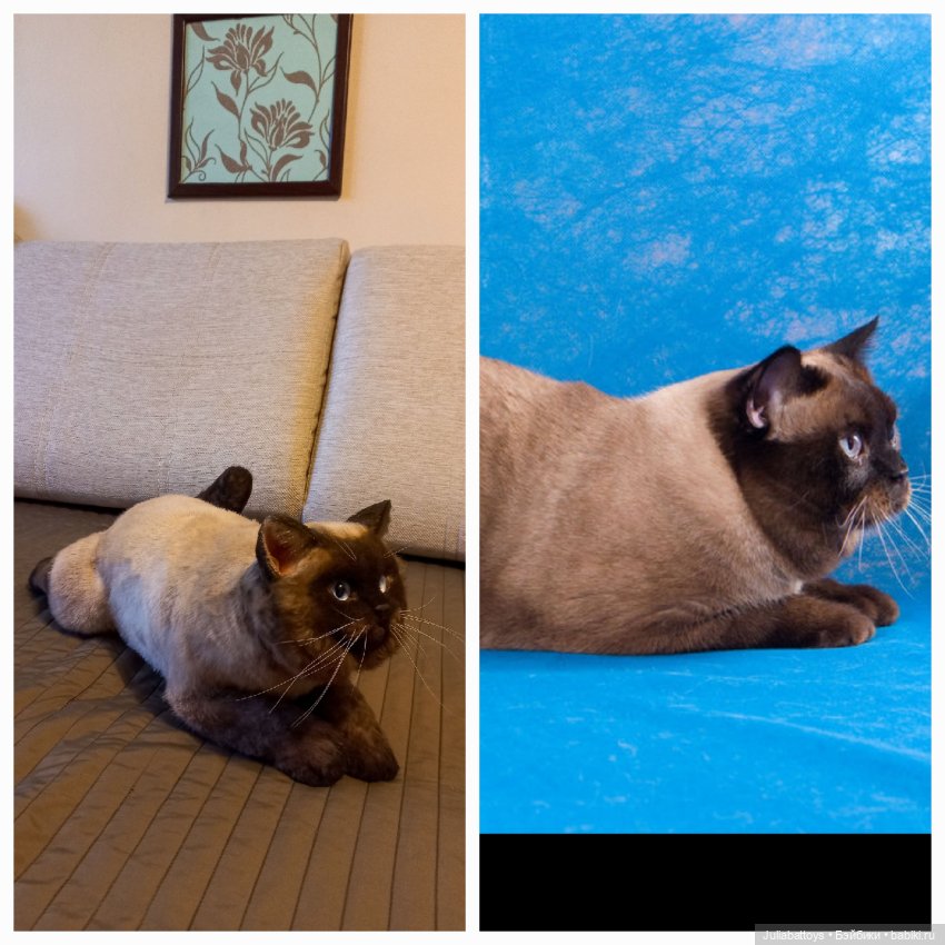 Мягкая игрушка - британец Джек