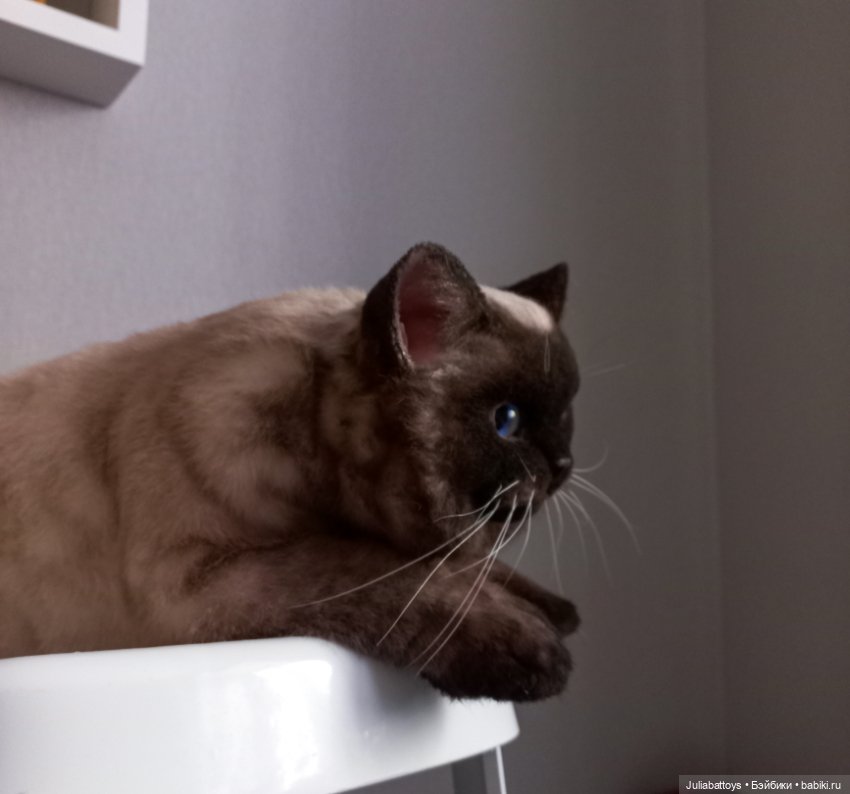 Мягкая игрушка - британец Джек