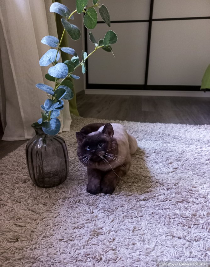 Мягкая игрушка - британец Джек