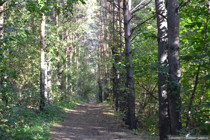 Алёнка и её первая прогулка
