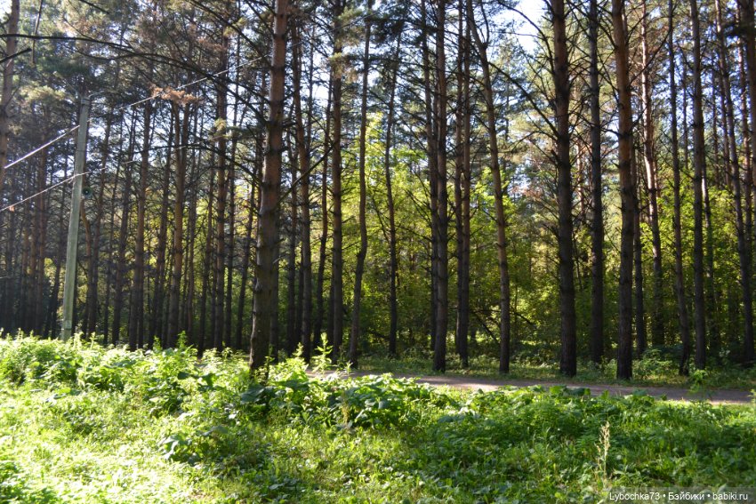 Алёнка и её первая прогулка