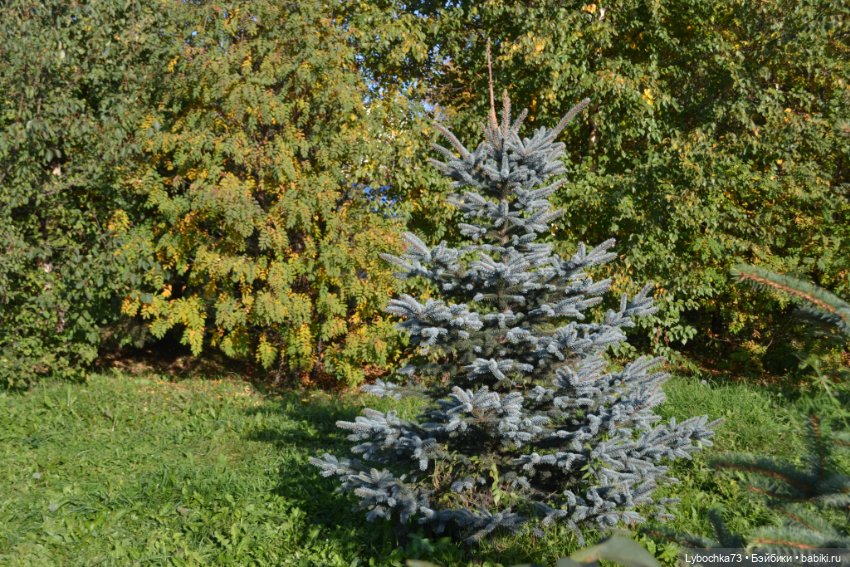 Алёнка и её первая прогулка