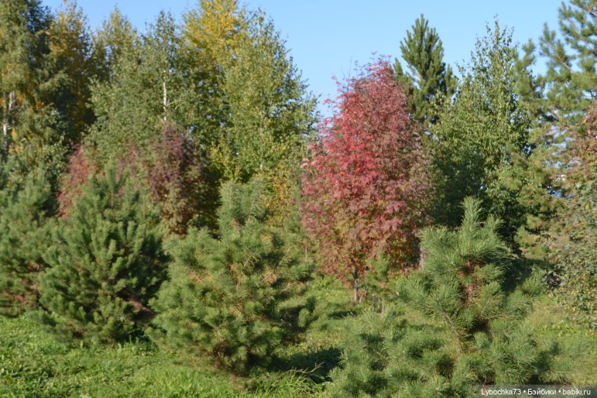 Алёнка и её первая прогулка