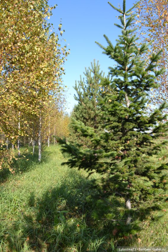 Алёнка и её первая прогулка