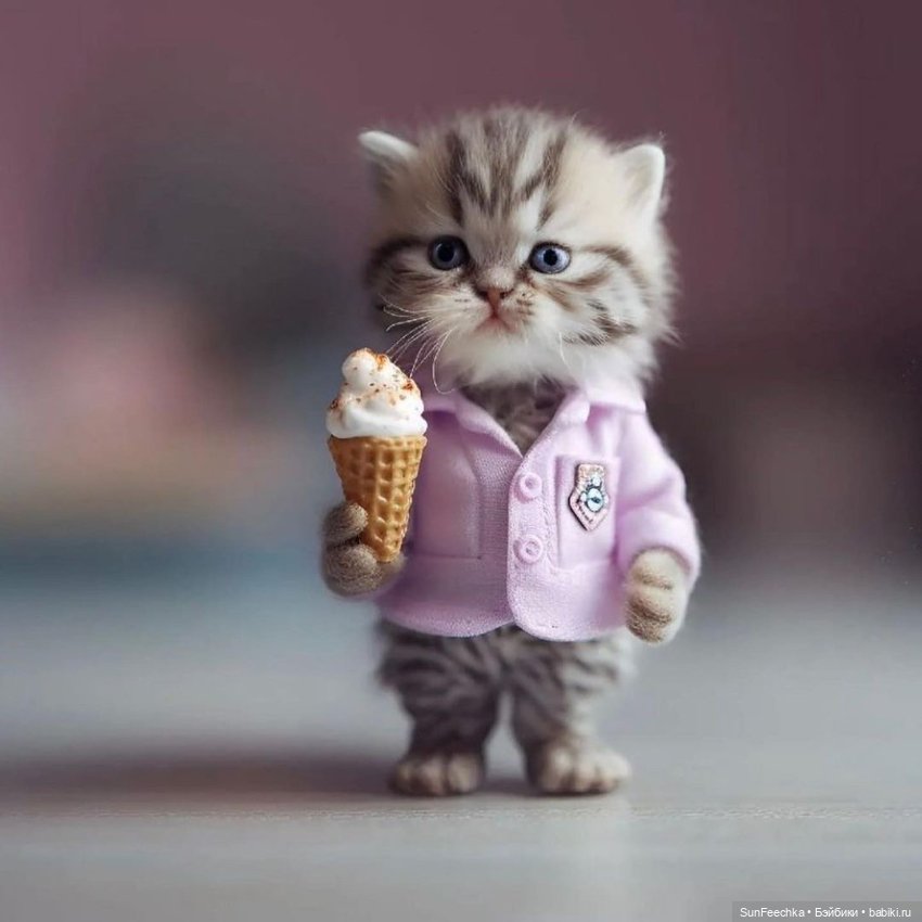 Милейшие котики для вдохновения (фото 7)