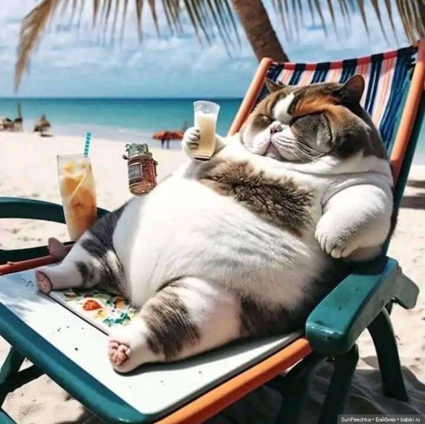 Милейшие котики для вдохновения