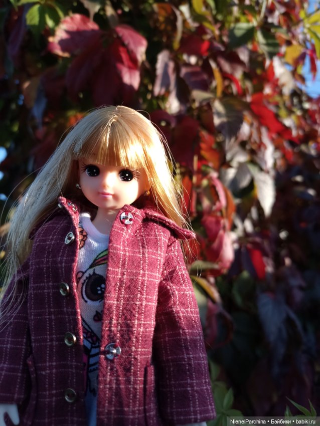 Осень с Аки — Куклы Takara Tomy (Такара): Licca (Ликка)