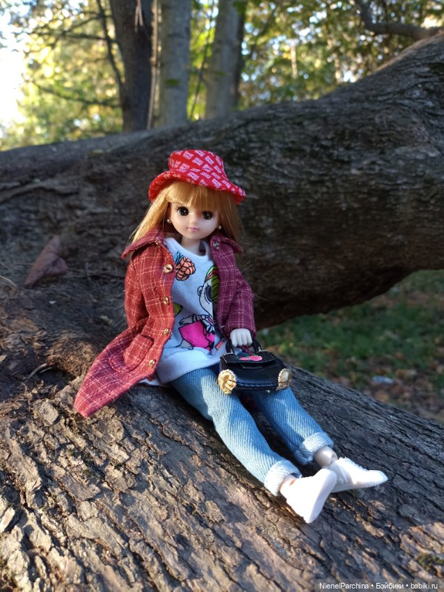 Осень с Аки — Куклы Takara Tomy (Такара): Licca (Ликка)