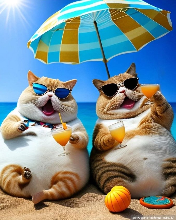 Милейшие котики для вдохновения