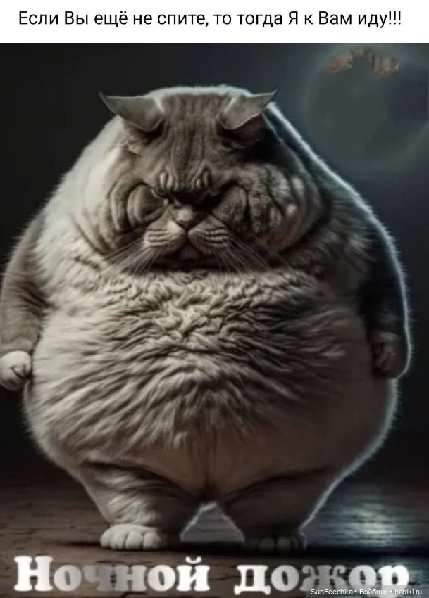 Милейшие котики для вдохновения (фото 3)