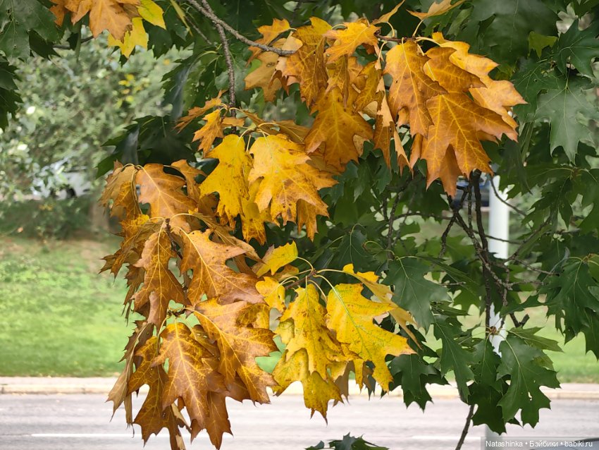 Музыкальная История 53 — Туризм и путешествия: фотоотчеты из поездок