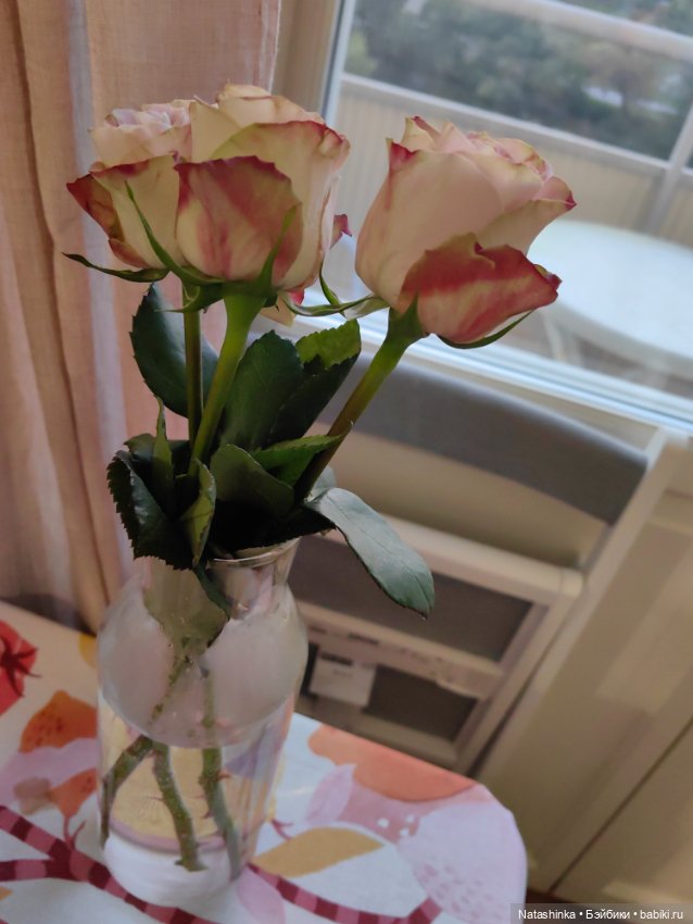 Музыкальная История 53 — Туризм и путешествия: фотоотчеты из поездок (фото 3)