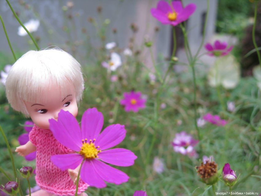 Hildy от Remco в Калининграде