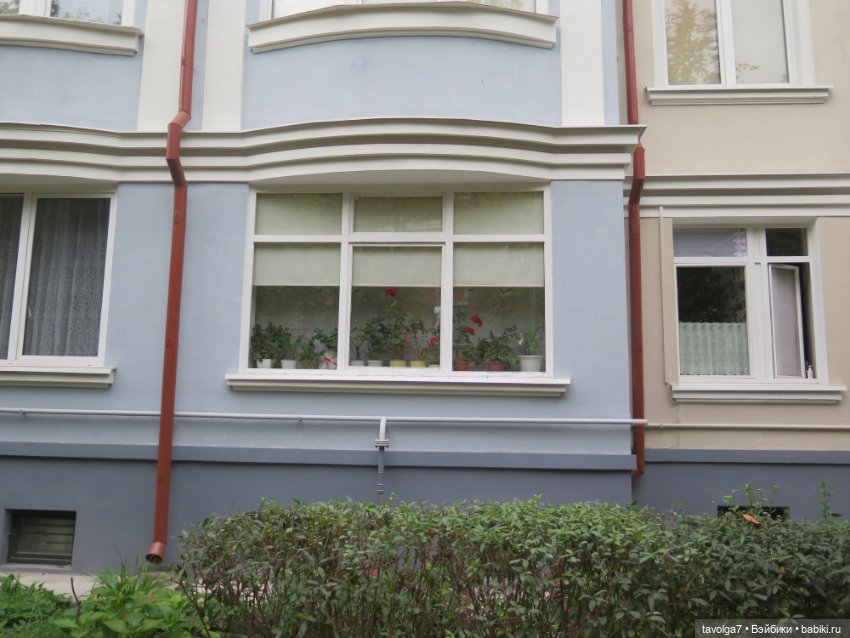 Hildy от Remco в Калининграде