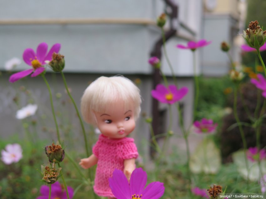 Hildy от Remco в Калининграде (фото 2)