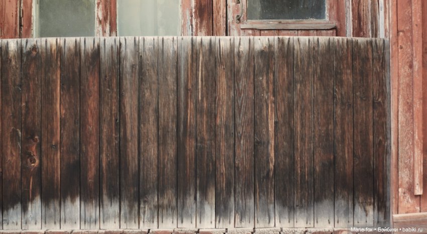 Перевоплощение Беллы — Фэшн (фото 4)