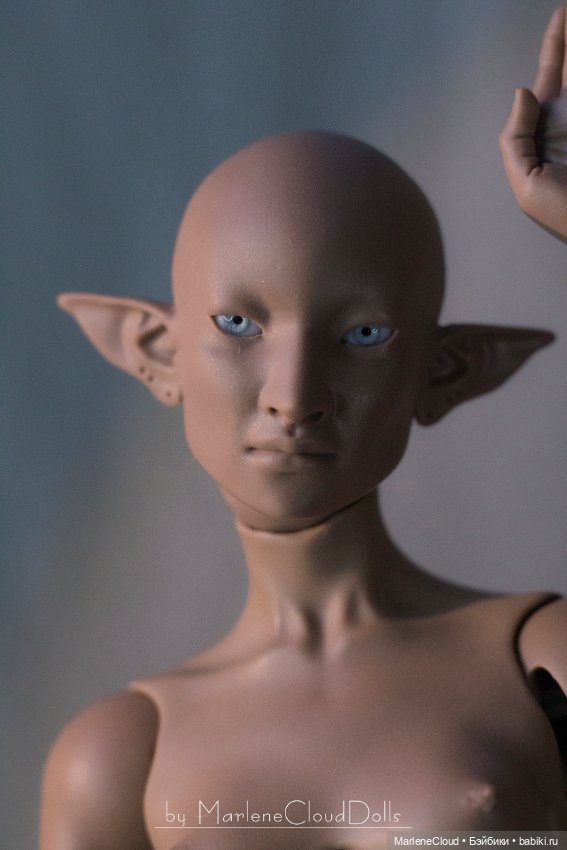 Zes - Фотографии первых бланков