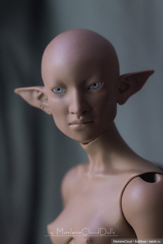 Zes - Фотографии первых бланков (фото 9)