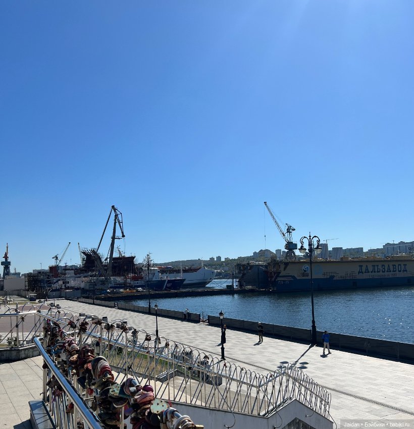 Обеденная прогулка с КАроль (фото 4)