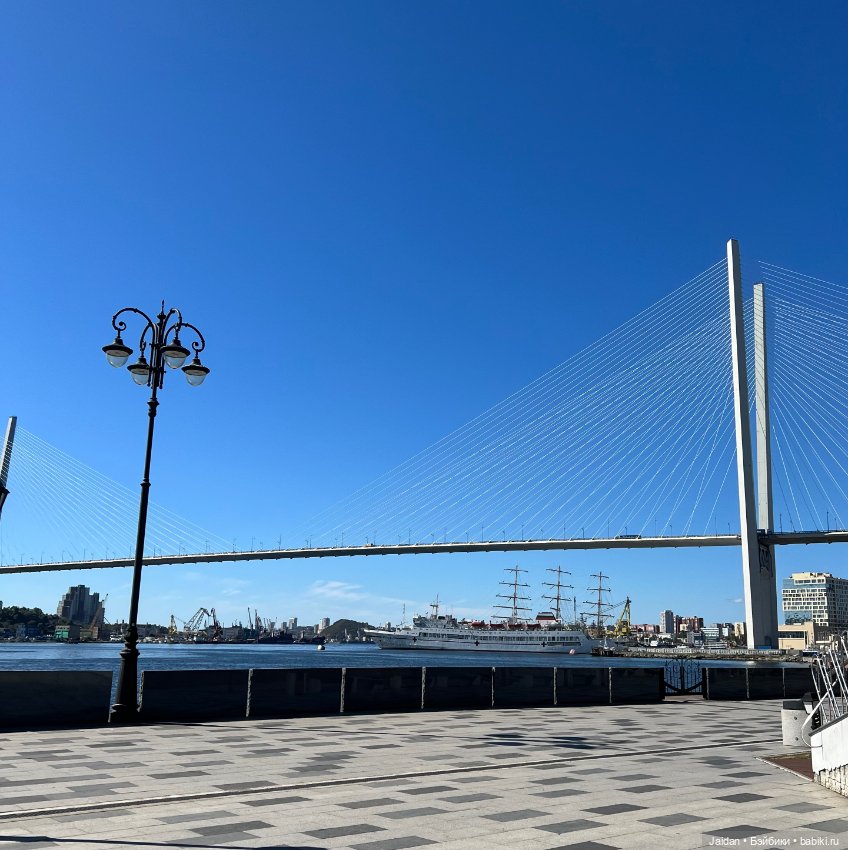 Обеденная прогулка с КАроль (фото 2)