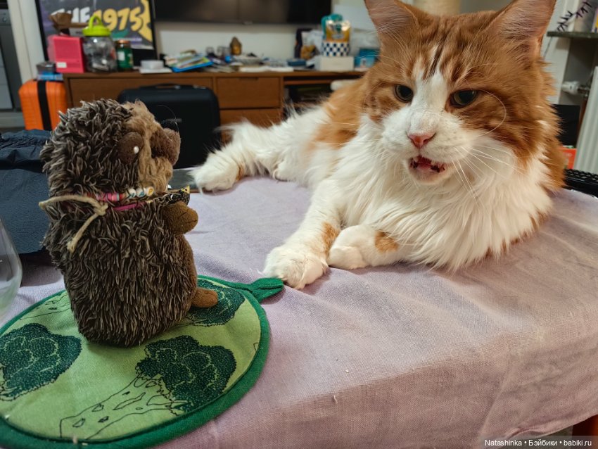 Музыкальная история 54 — Туризм и путешествия: фотоотчеты из поездок