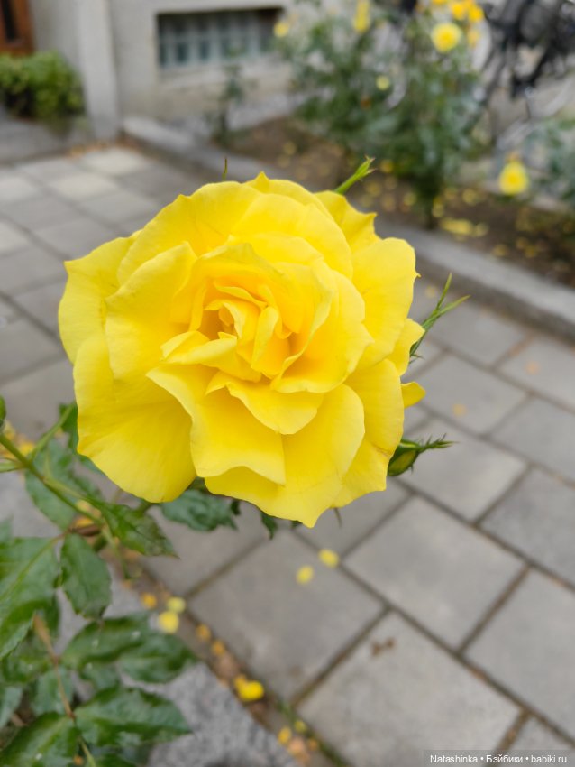 Музыкальная история 54 — Туризм и путешествия: фотоотчеты из поездок