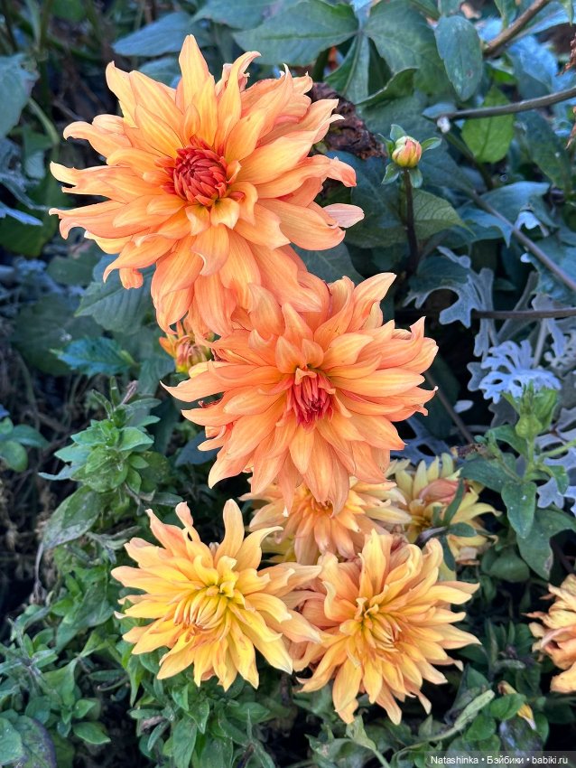 Музыкальная история 54 — Туризм и путешествия: фотоотчеты из поездок (фото 4)