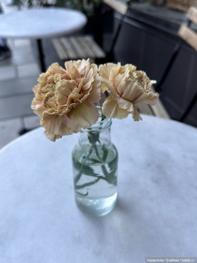 Музыкальная история 54 — Туризм и путешествия: фотоотчеты из поездок (фото 6)