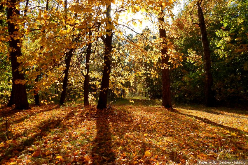 Осенняя пора — Куклы Baboliy (Баболи (фото 8)