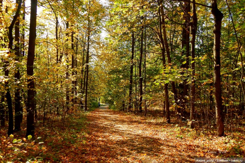 Осенняя пора — Куклы Baboliy (Баболи (фото 5)