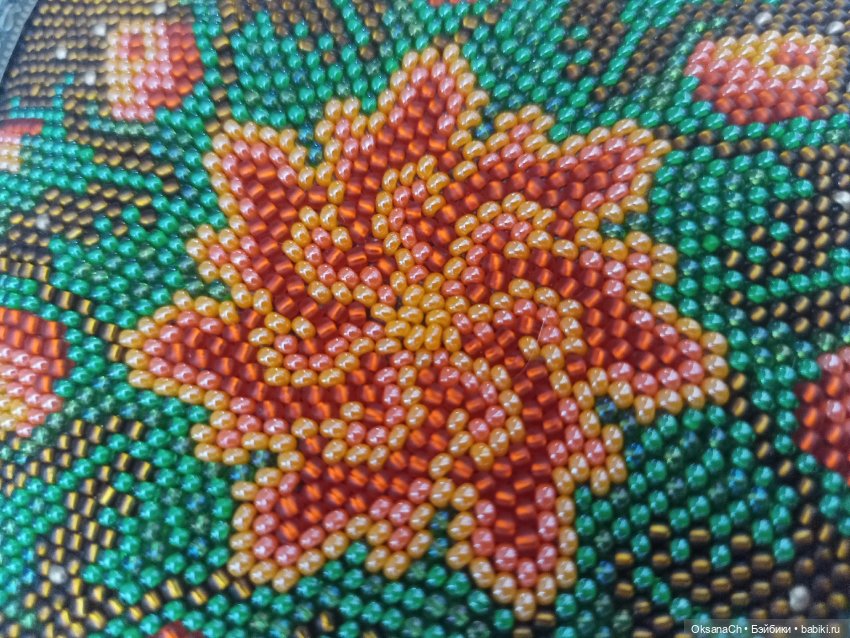 Шуршит листва — Другие хобби и увлечения: сад (фото 5)