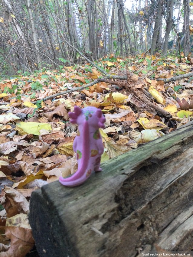 Кака вошёл в осень 🍁🍂🍁 — Игровые куклы разных производителей (Разное): редкие бренды (фото 4)