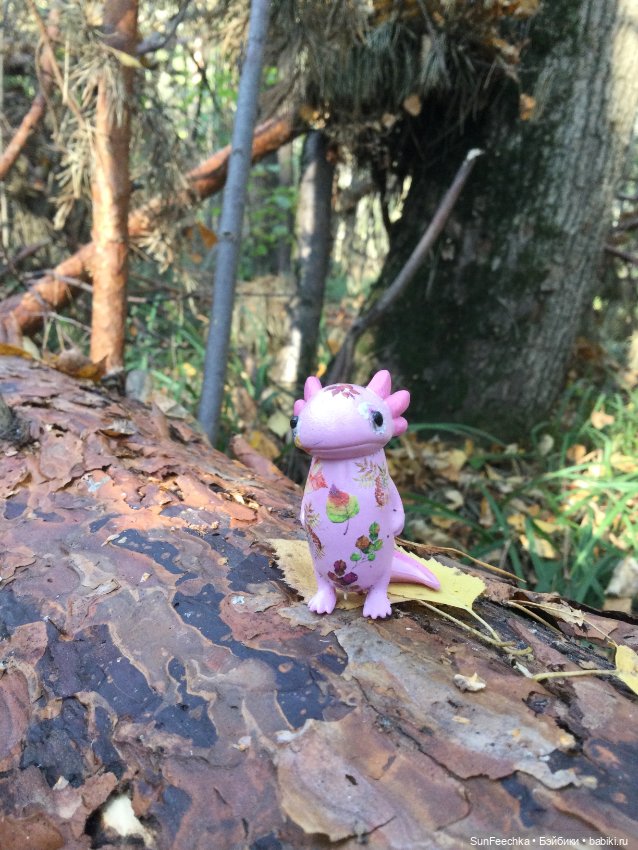 Кака вошёл в осень 🍁🍂🍁 — Игровые куклы разных производителей (Разное): редкие бренды (фото 6)