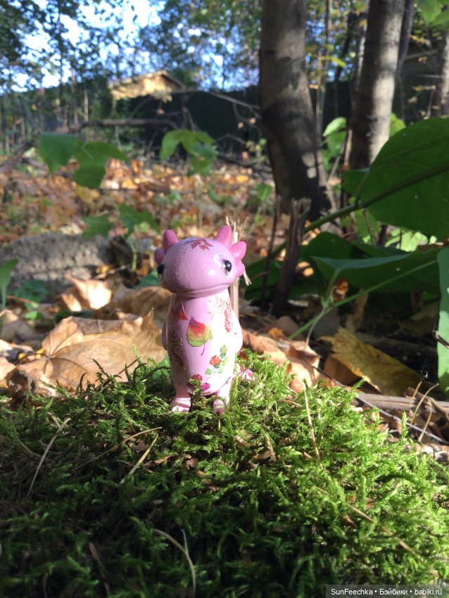 Кака вошёл в осень 🍁🍂🍁 — Игровые куклы разных производителей (Разное): редкие бренды (фото 7)