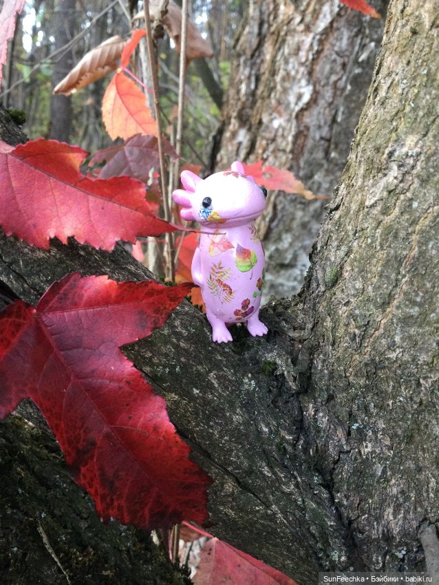 Кака вошёл в осень 🍁🍂🍁 — Игровые куклы разных производителей (Разное): редкие бренды (фото 3)