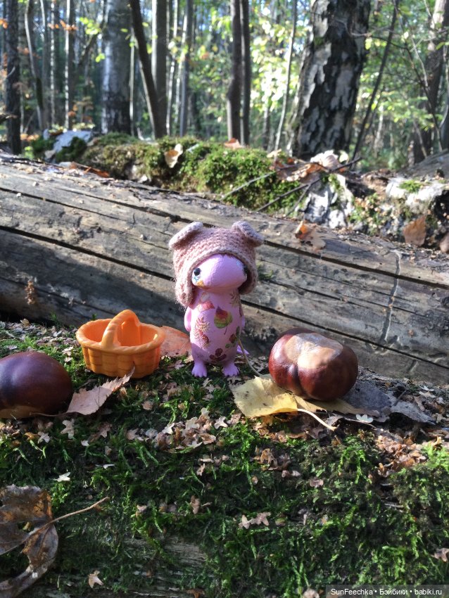 Кака вошёл в осень 🍁🍂🍁 — Игровые куклы разных производителей (Разное): редкие бренды (фото 8)