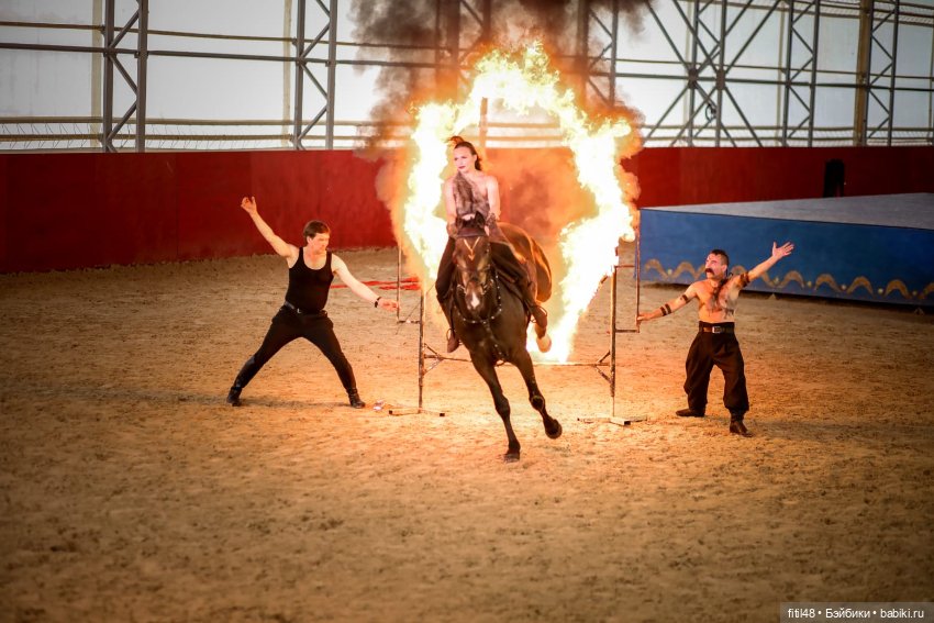 Конный театр Ларисы Луста - Часть вторая - Путь к мечте