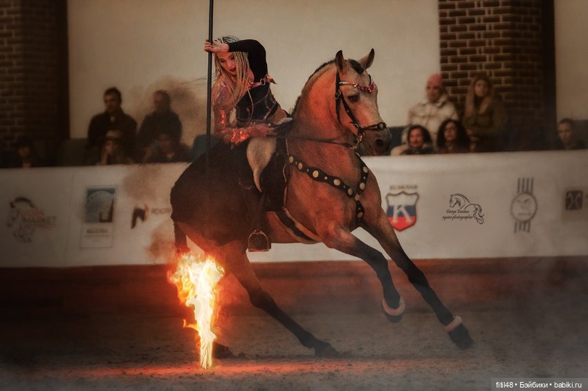 Конный театр Ларисы Луста - Часть вторая - Путь к мечте