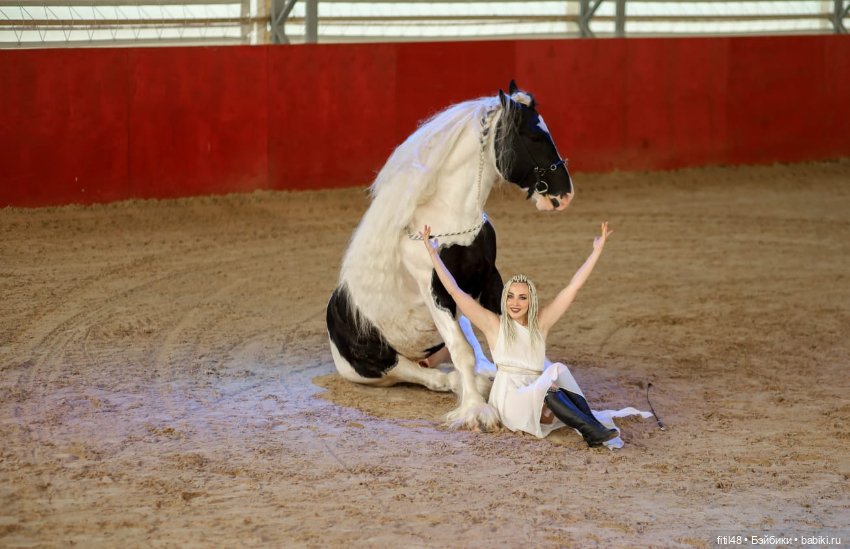 Конный театр Ларисы Луста - Часть вторая - Путь к мечте (фото 8)