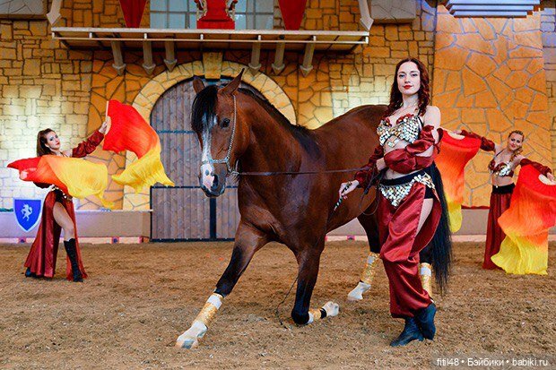 Конный театр Ларисы Луста - Часть вторая - Путь к мечте