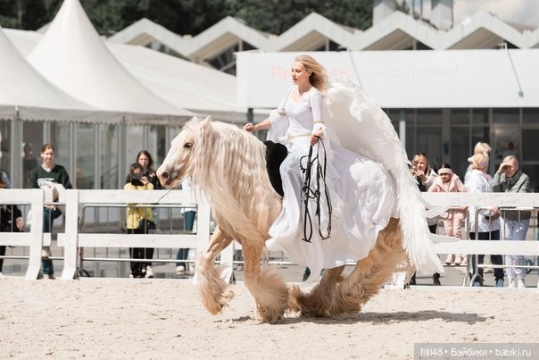 Конный театр Ларисы Луста - Часть вторая - Путь к мечте