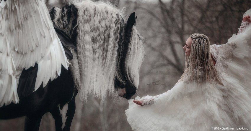 Конный театр Ларисы Луста - Часть вторая - Путь к мечте (фото 4)