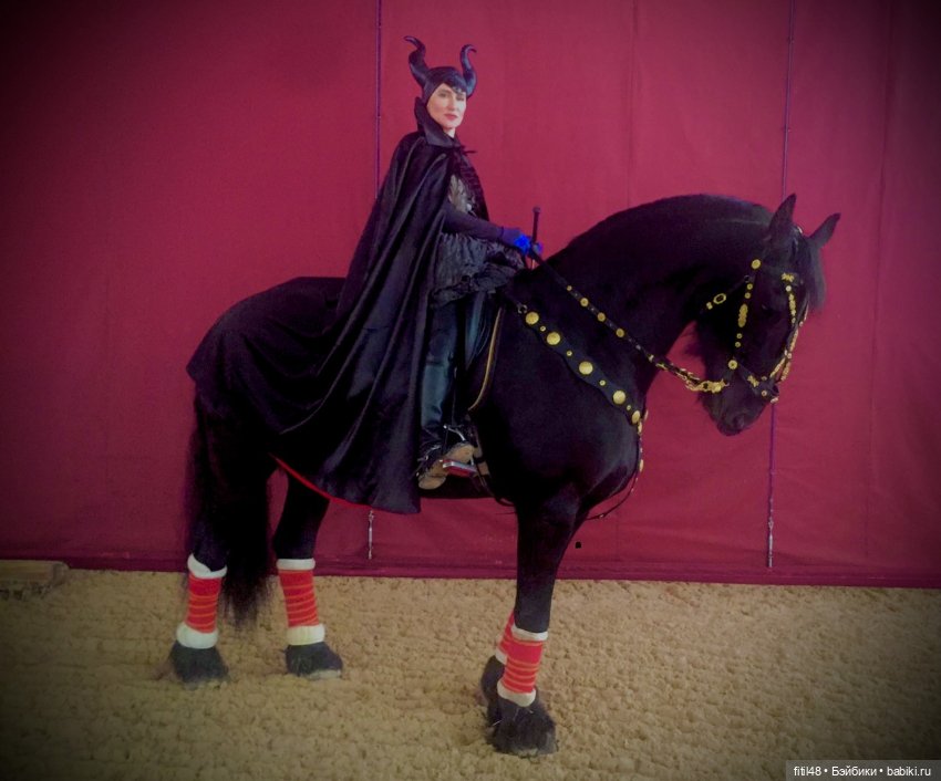 Конный театр Ларисы Луста - Часть вторая - Путь к мечте