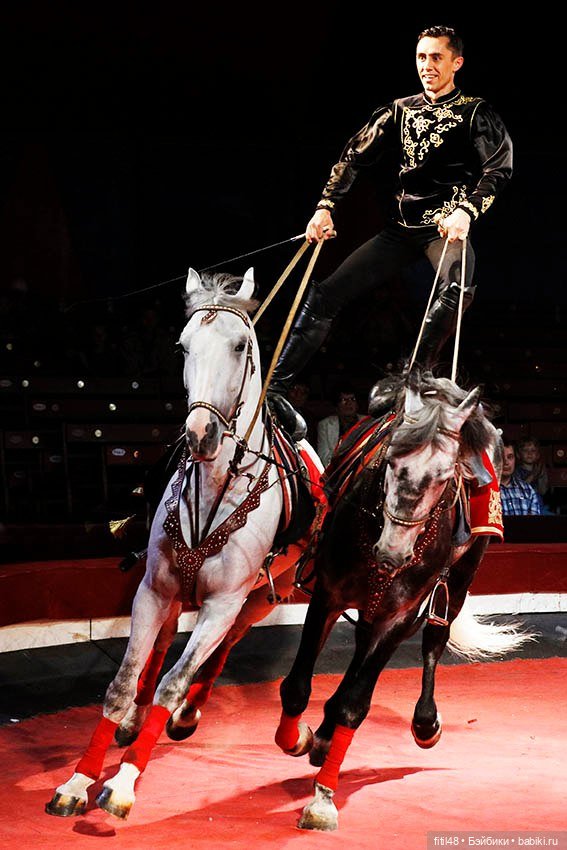 Конный театр Ларисы Луста - Часть вторая - Путь к мечте